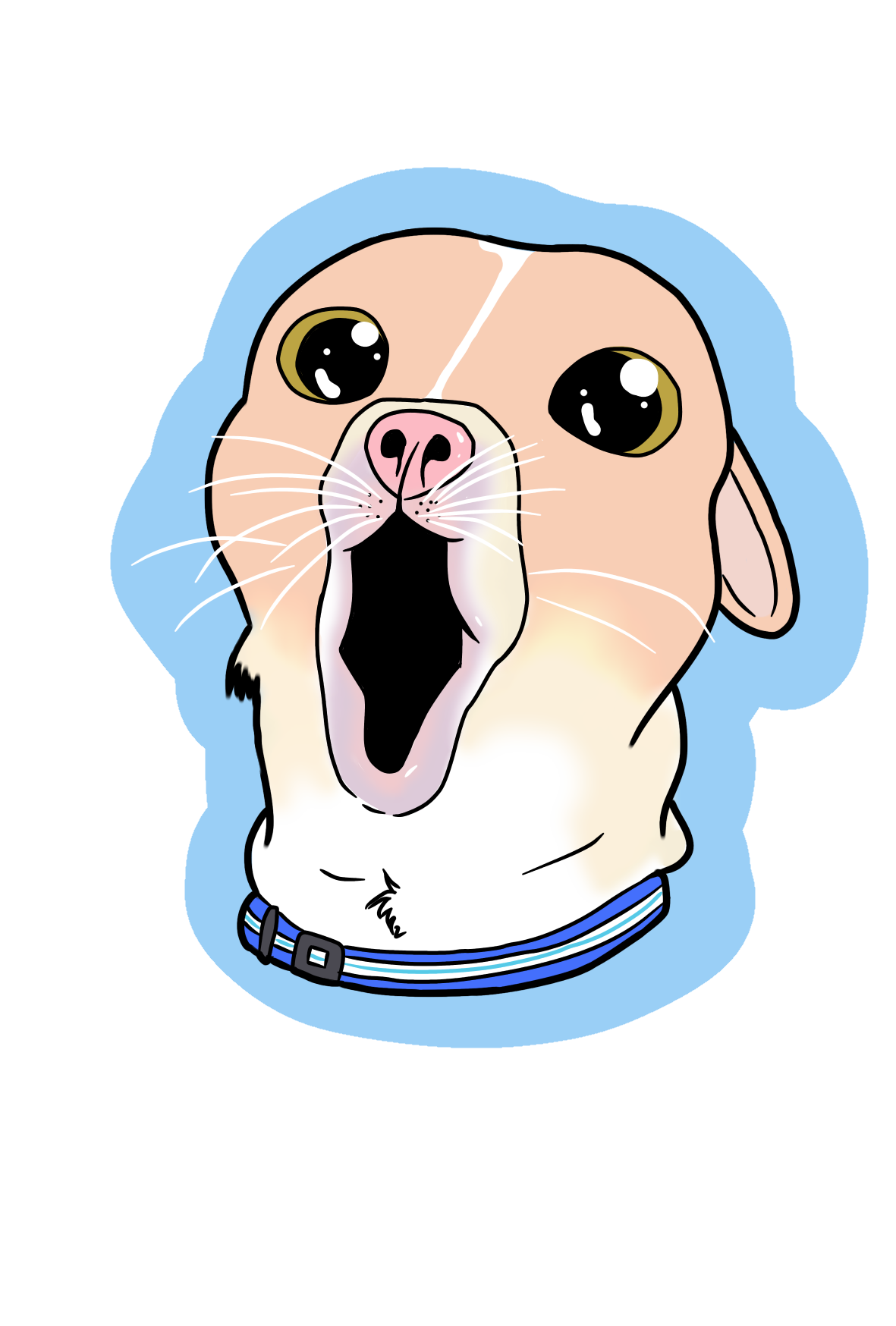 Spud